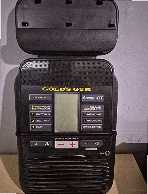 Gold's Gym 400 RI Recumbant Bike Console Display Panel