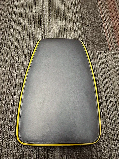 Gold's Gym Power Spin 230r Recumbent Bike Back Rest (119)